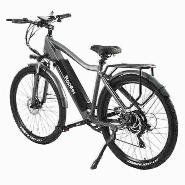 custom ebikes dealer