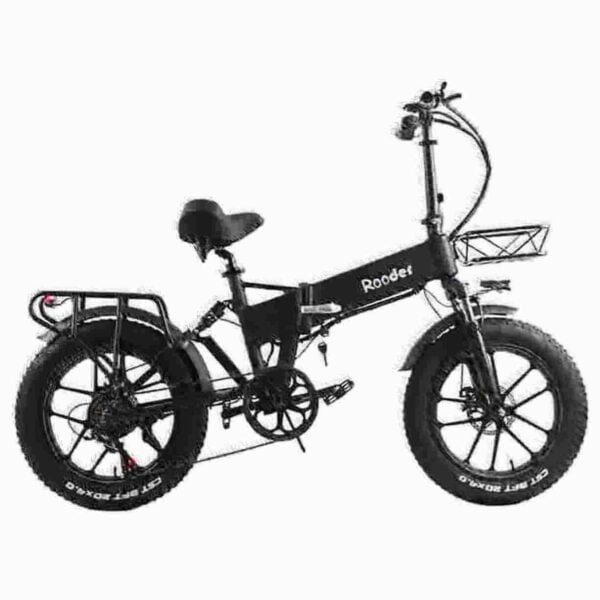 Custom Electric Bike dealer