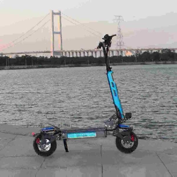 dual motor electric scooter dealer