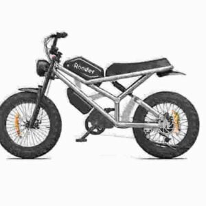 E Bike Folding Electric Bike dealer