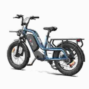 E Fat Bikes For Sale dealer