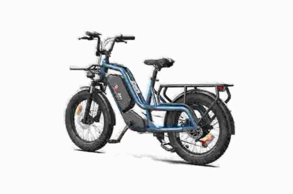 E Fat Bikes For Sale dealer