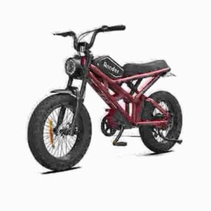 ebike 750w dealer