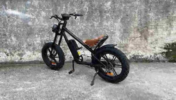 Ebike Fat Bike dealer