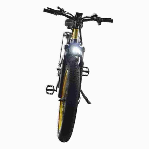 Ebike Snow dealer