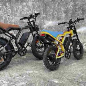 Electric Bicycle Folding Bike dealer