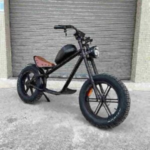 electric bicycle for men dealer