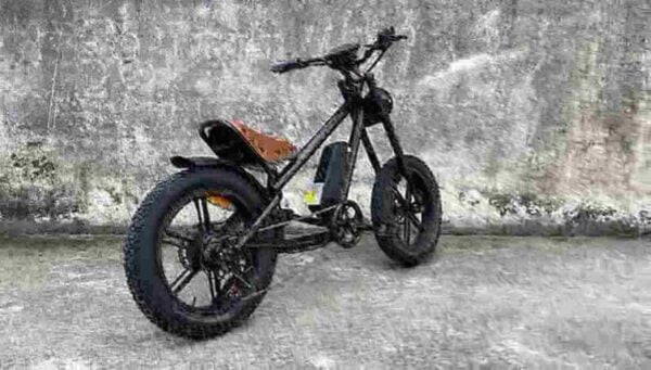 electric bicycle price dealer