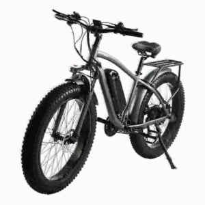 electric bicycle dealer