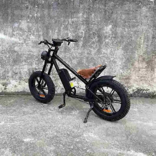 Electric Bike 1000w dealer