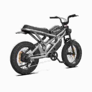 Electric Bike 250w dealer