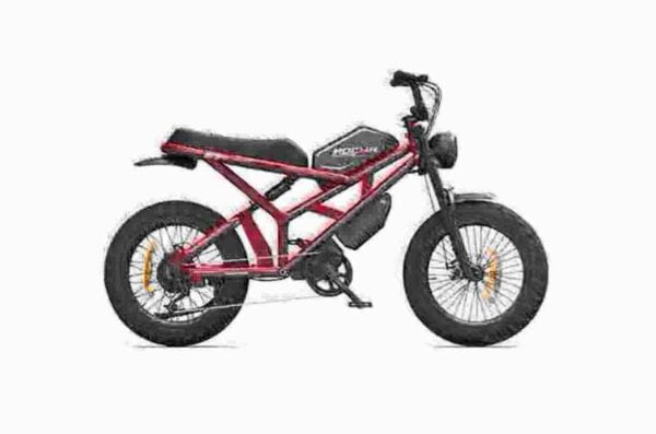 Electric Bike 36v dealer