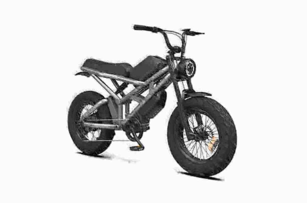 Electric Bike Adult dealer