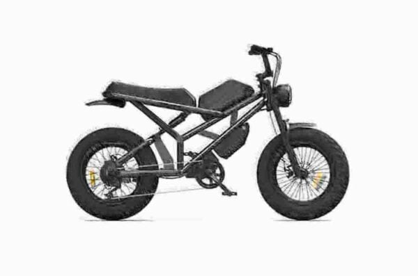 Electric Bike E Bikes dealer