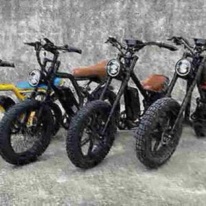 electric bike electric bike dealer