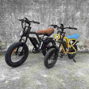 Electric Bike For Sale dealer