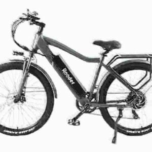 Electric Bike France dealer