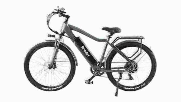 Electric Bike France dealer