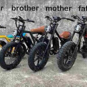 Electric Bike Full Suspension dealer