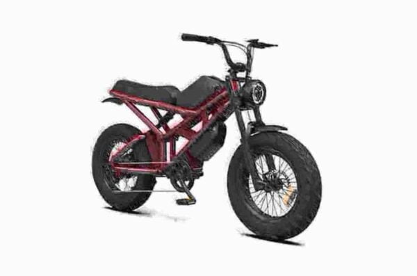 Electric Bike Long Range dealer