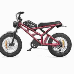 electric bike models dealer