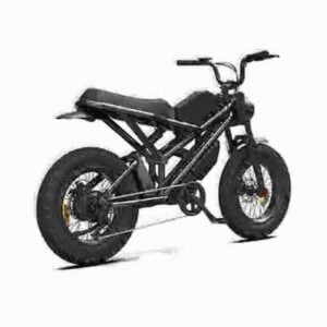 electric bike price dealer