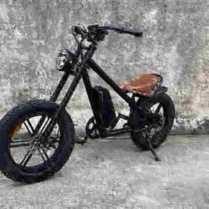 electric bike range dealer