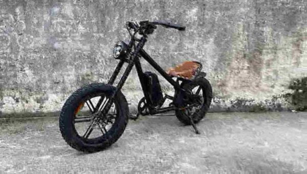 electric bike range dealer