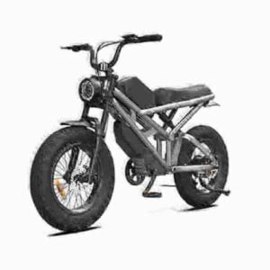 Electric Bike With Wide Tires dealer