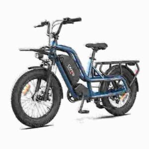 electric bike dealer