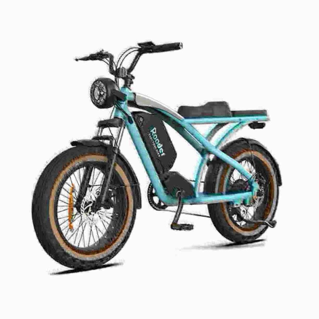 Electric Cycle Big Tyre dealer