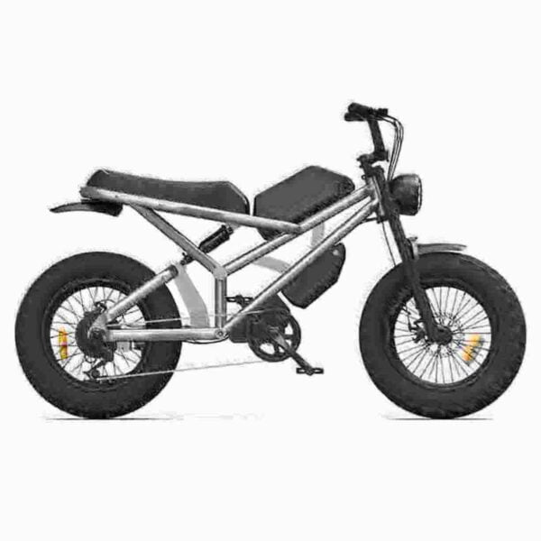 Electric Dirt Bike For Youth dealer