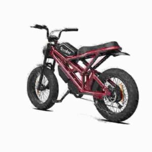 electric ebikes dealer