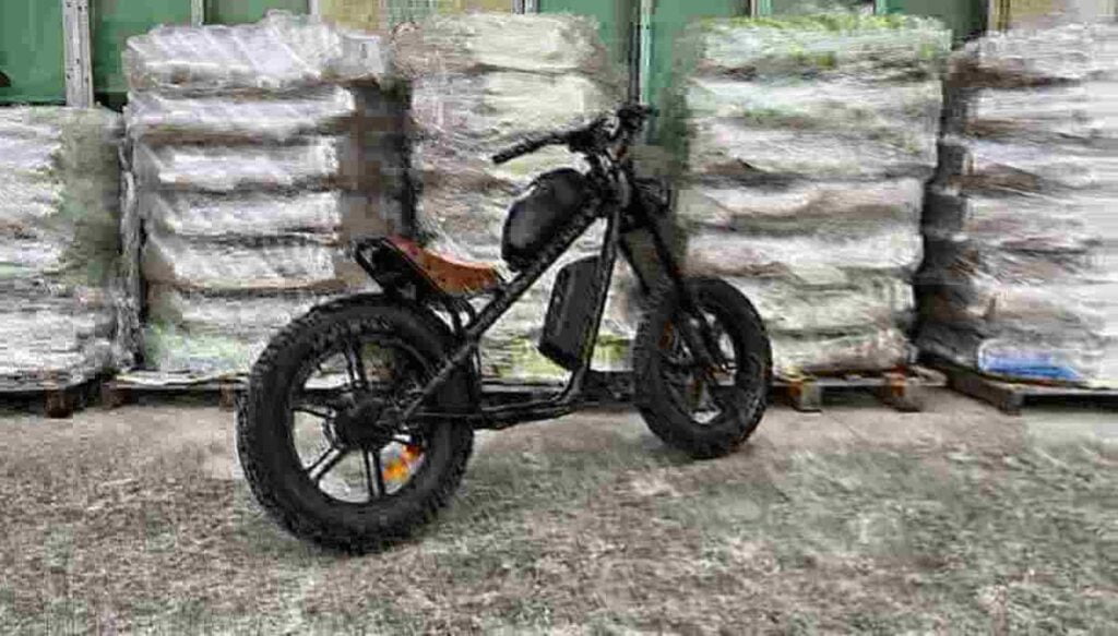 Electric Fat Tire Bikes For Adults dealer