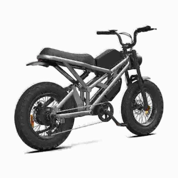 Electric Fat Tire Ebike dealer