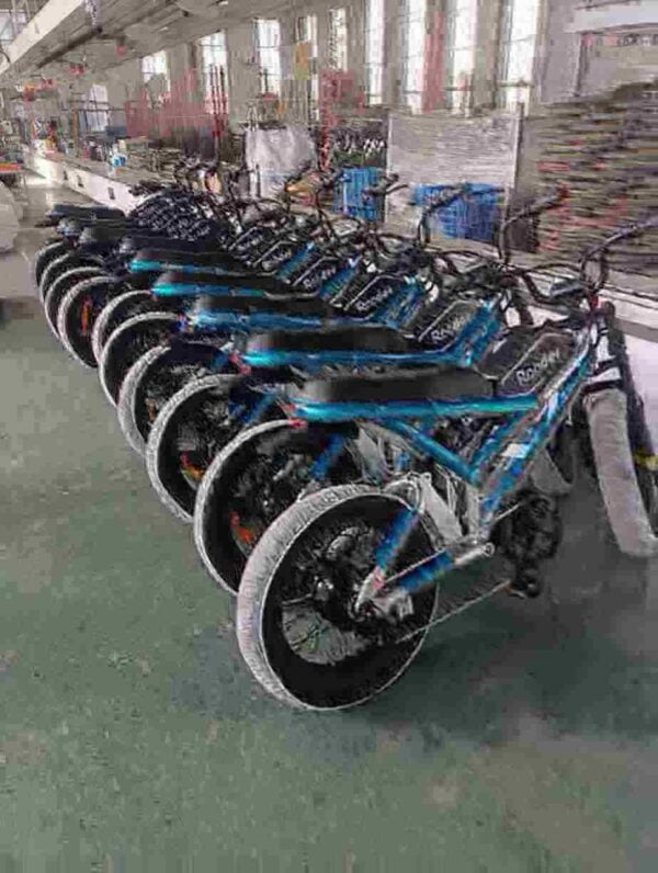 Electric Fat Tyre Cycle dealer