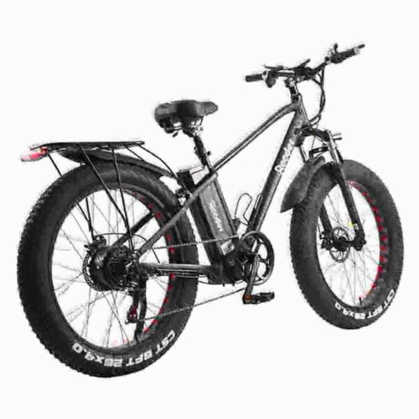 Electric Folding Bike 16 Inch dealer