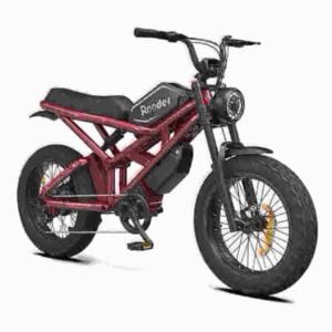 Electric Folding Bike Price dealer