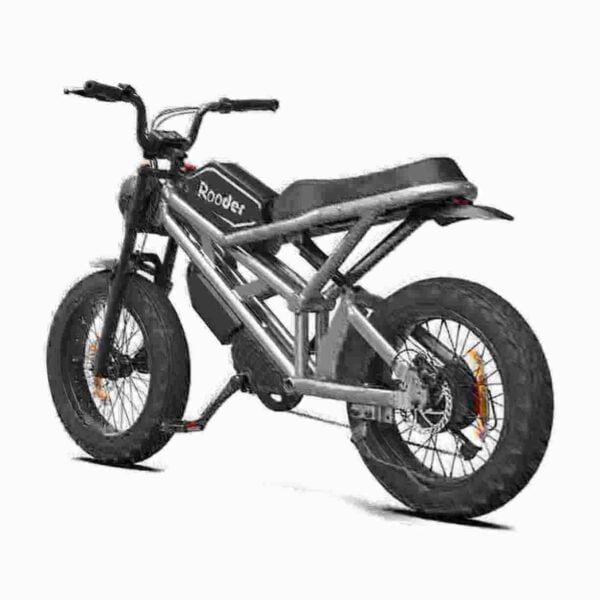 Electric Folding Bike dealer