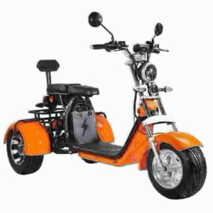 Electric Motorcycle Adult dealer