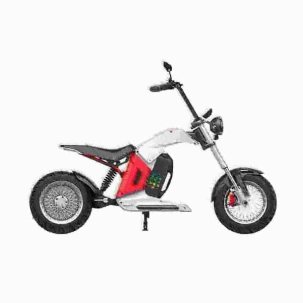 Electric Motorcycle Motor dealer