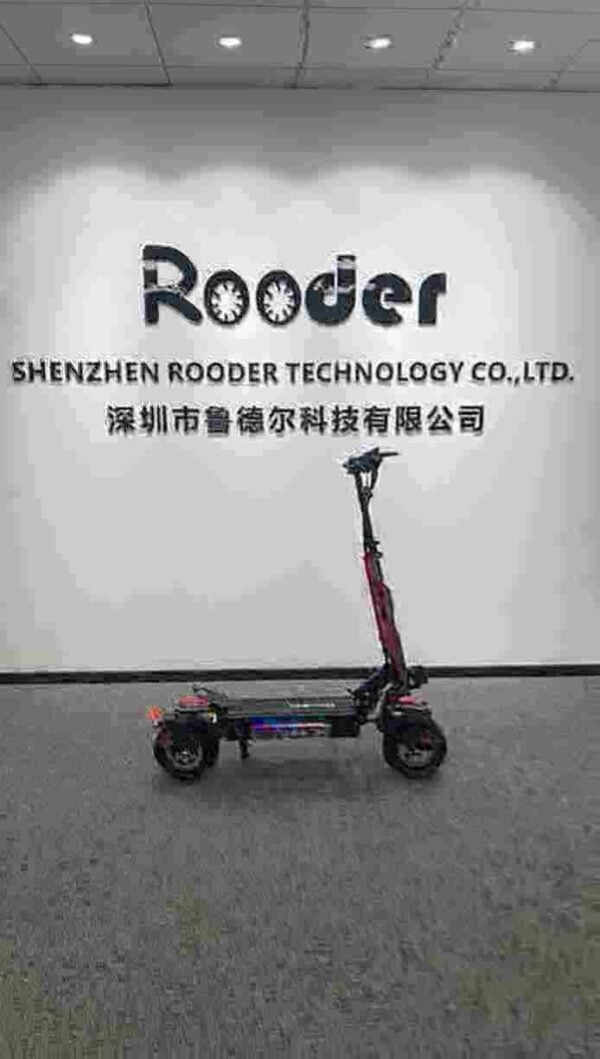 Electric Scooter 3 Wheel Adult dealer