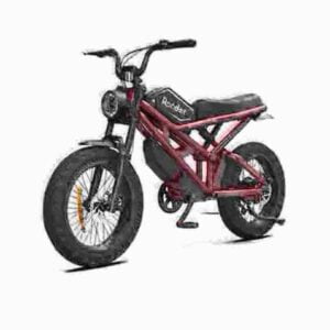 Electric Touring Bike dealer