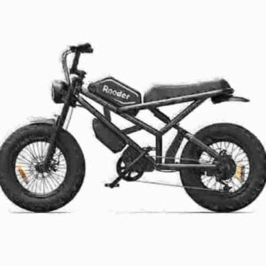 electricbikes dealer