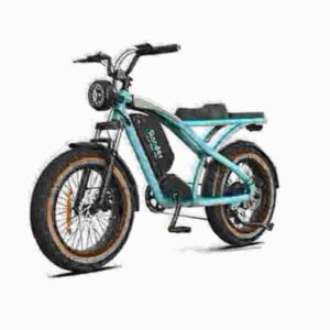 Ev Electric Bike dealer