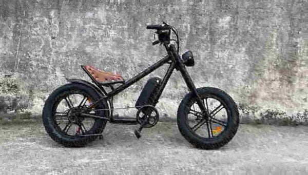 Evo Electric Bike dealer