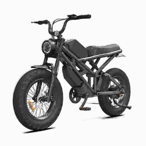 Fast Electric Dirt Bike For Adults dealer