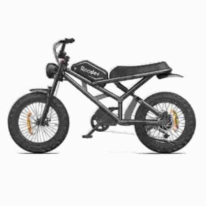 Fastest Fat Tire Electric Bike dealer