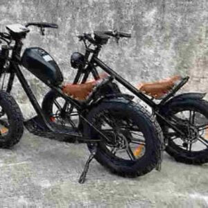 Fat Electric Cycle Price dealer