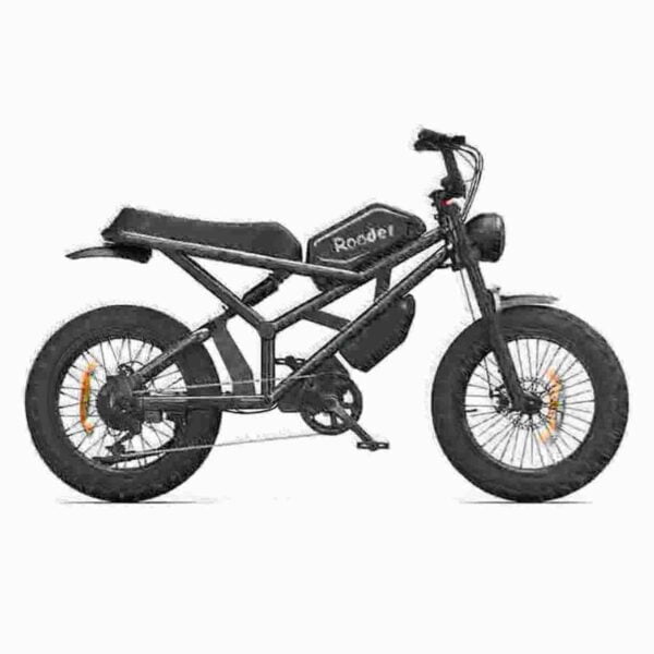 Fat Tire Bike Ebike dealer